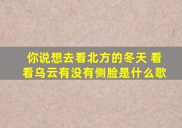 你说想去看北方的冬天 看看乌云有没有侧脸是什么歌